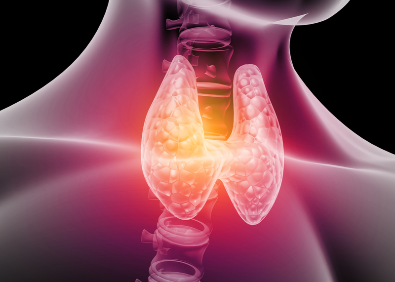 4 Important Nutrients for Thyroid Health
