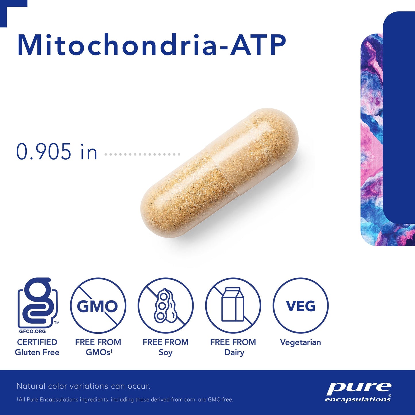 Mitochondria-ATP